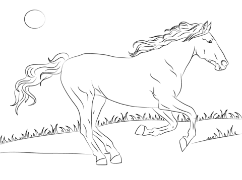 Beautiful Mustang Horse Coloring Page